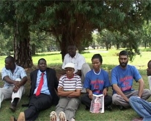 The Save Zimbabwe Now campaign