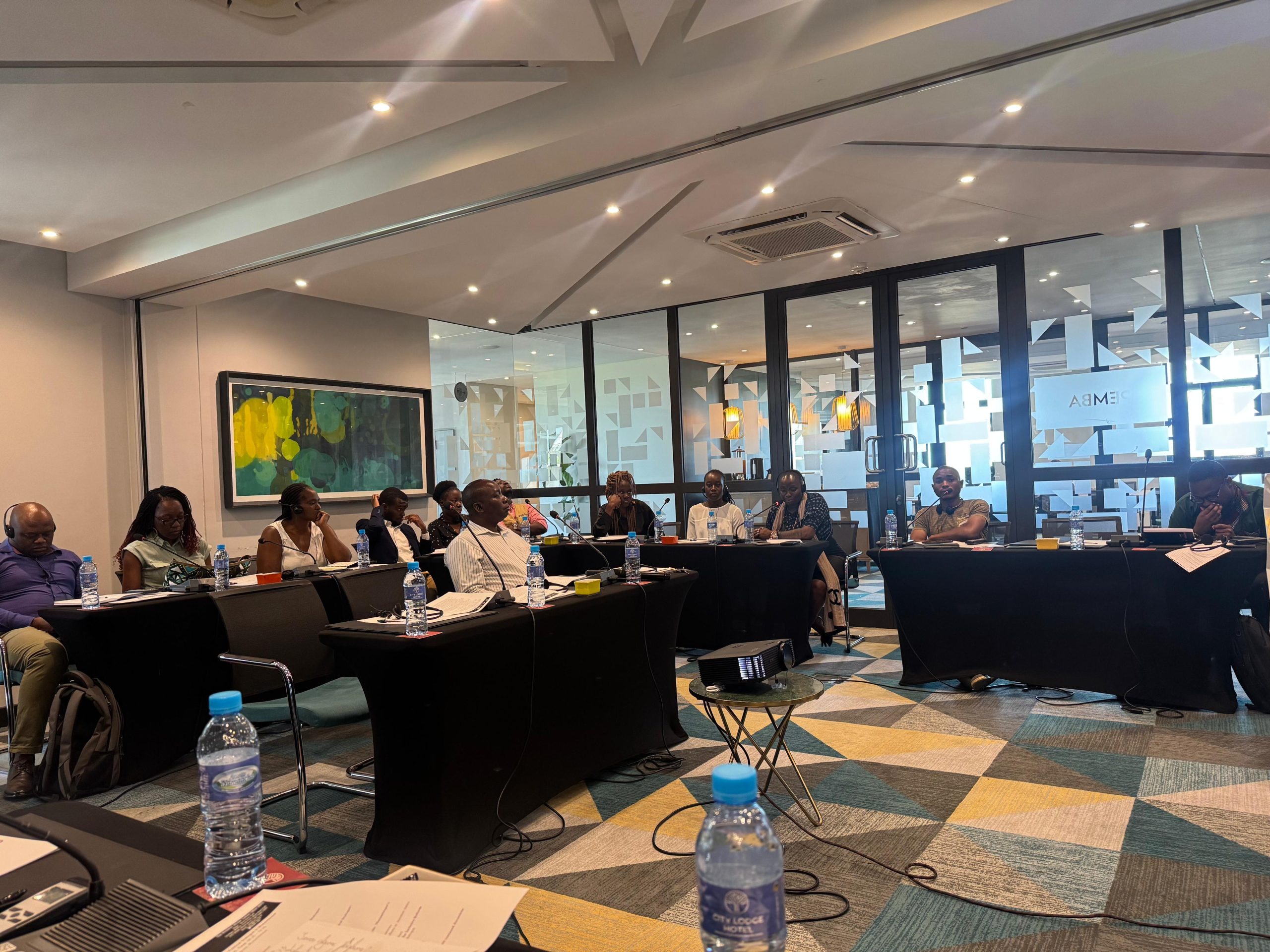 Mozambique’s National Dialogue: Civil Society Perspectives from a Multi-Stage Engagement Series